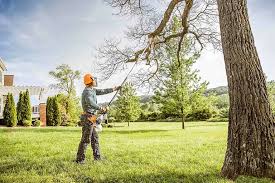 Best Weed Control  in Marion, MS